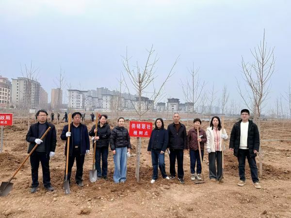 3.12植树.jpg